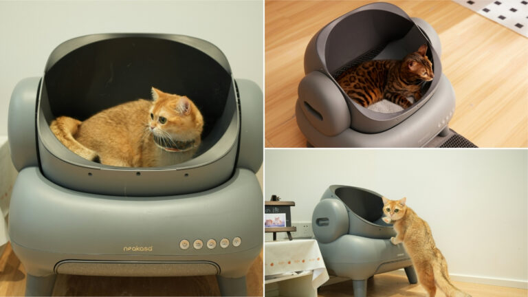 how to move a cat's litter box