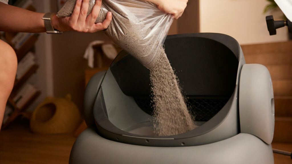 how much cat litter to put in box