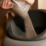 how much cat litter to put in box