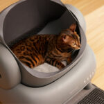 how much cat litter to use